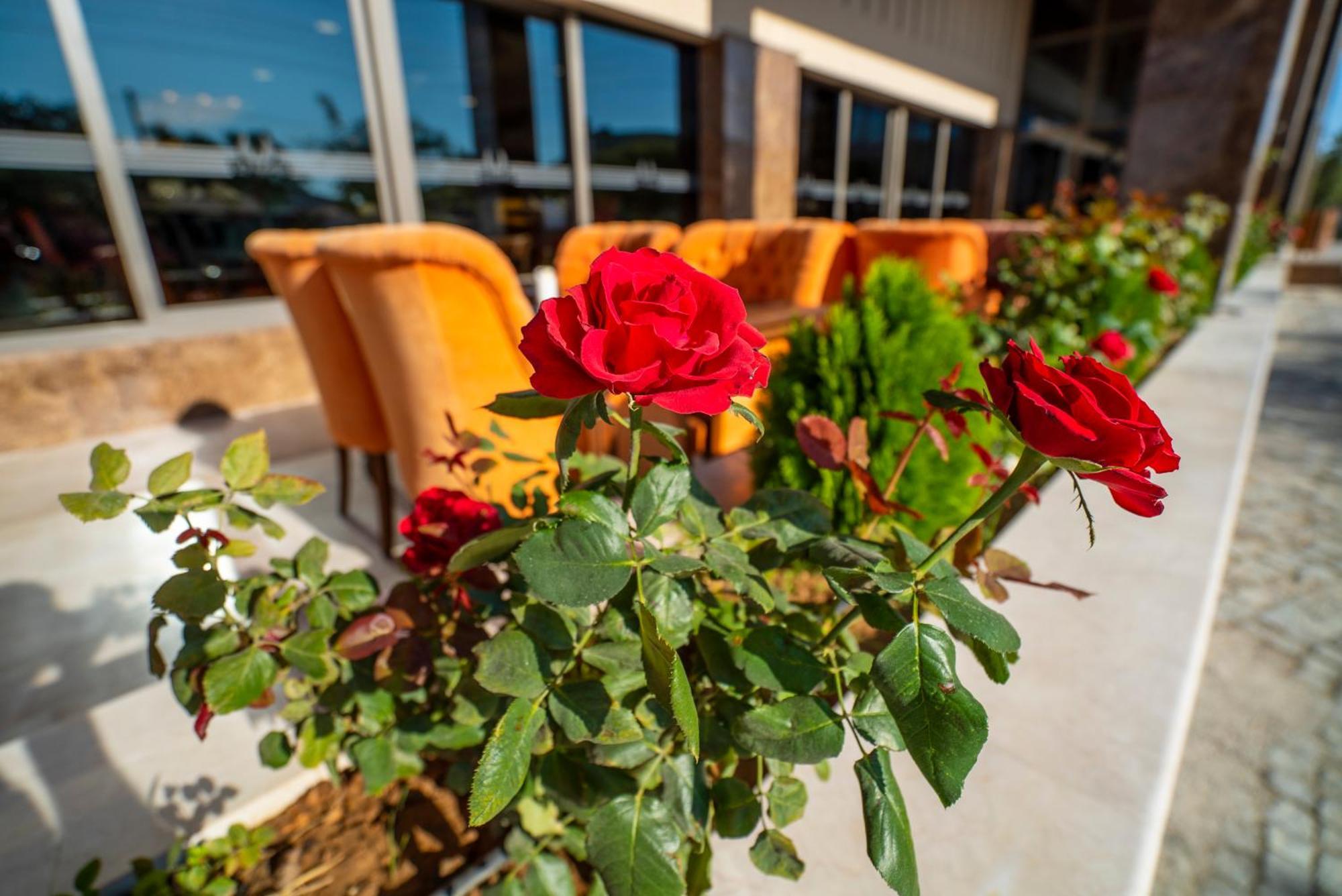 New Karaman Hotel Екстер'єр фото